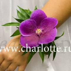 Магазин цветов Орхидея